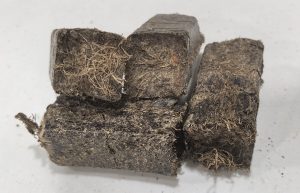 EFB Briquette